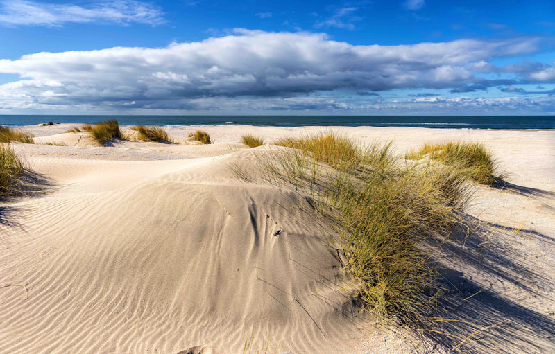 The Delights of Danish Summer: Sunscreen, Food, and Traditions