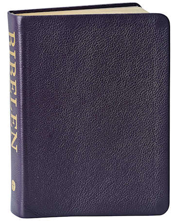 The Bible of The Testament's Apocryp Books