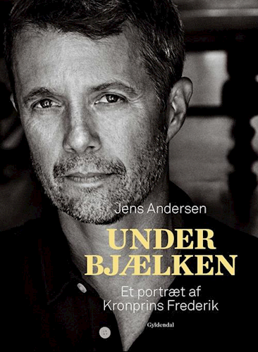 Under Bjælken A Portrait of Crown Prince Frederik